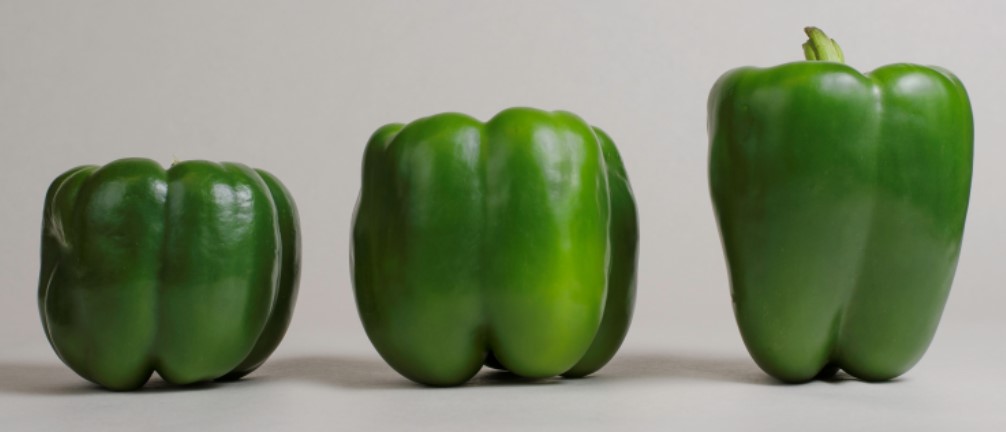 are green peppers a fruit