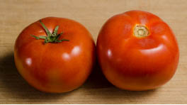 Tomato Figure 1