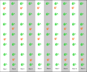 Pollenizer Row Spacing Recommendations