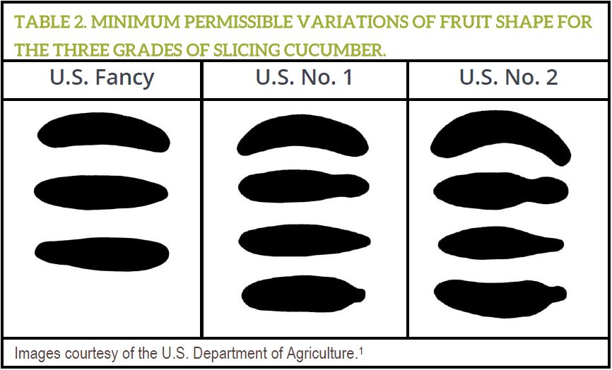 Corn Grading Chart